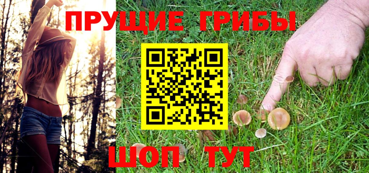 Псилоцибиновые грибы мухоморы Ижевск